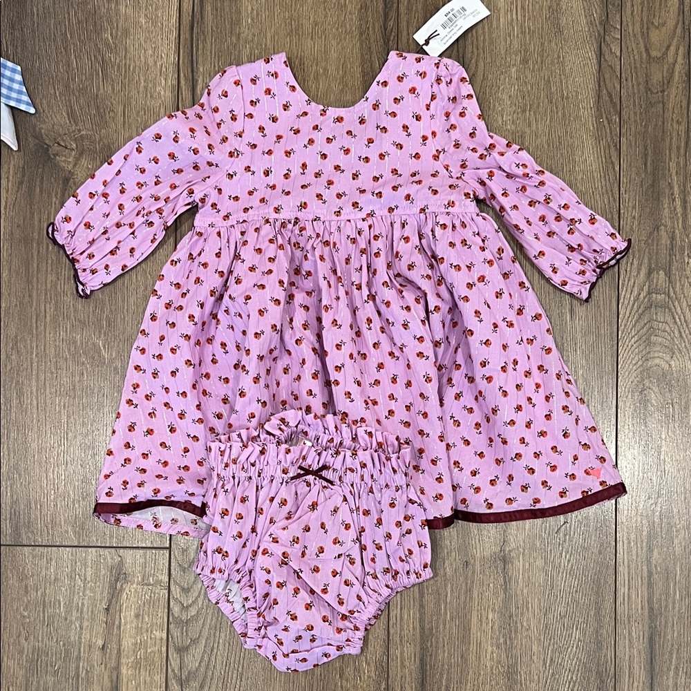 NWT Pink Floral Baby Dress with Bloomers